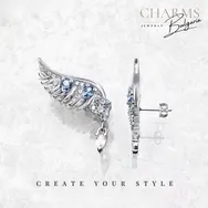 Имам сребърни крила